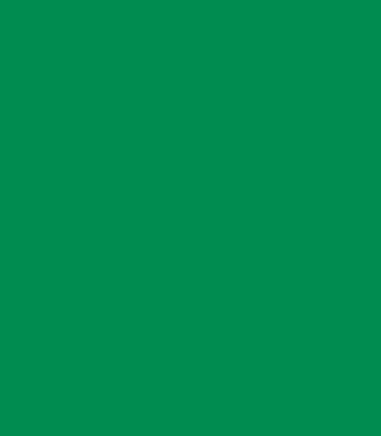 Светофильтр пленочный LEE #327 Forest green Roll 7.62m x 1.22m